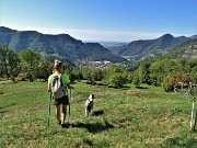 52 Dai prati di Cassarielli scendendo al roccolo vista su Sedrina e verso l'Ubione